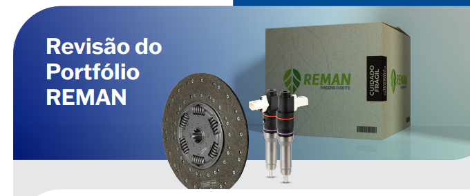 Revisão do Portfólio REMAN